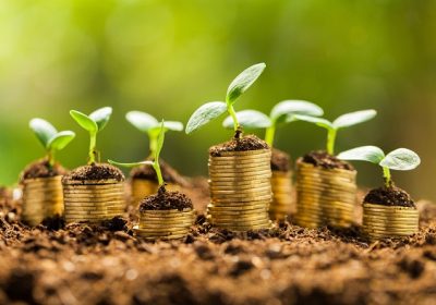 Accepter ou renoncer à la succession (option successorale)