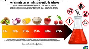 Pesticides à risques, 50 % de fruits et légumes contaminés. Le temps n’est plus au laxisme avec les pesticides